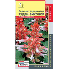 Цветы Сальвия Рэдди Биколор (красно-белая) "Плазма"