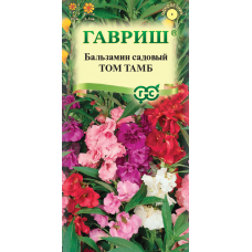 Цветы Бальзамин Томб Тамб карликовый "Гавриш"