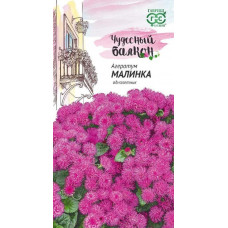 Цветы Агератум Малинка "Гавриш" серия Чудесный балкон