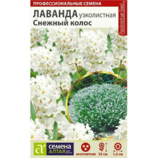 Цветы Лаванда Снежный колос мнг. "Семена Алтая"