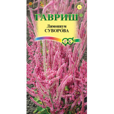 Цветы Лимониум Суворова розовый "Гавриш"