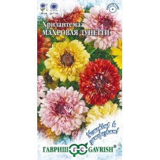 Цветы Хризантема Дуннети махровая "Гавриш"