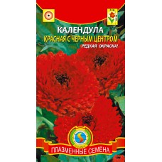 Цветы Календула Красная с черным центром 