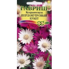 Цветы Ксерантемум Перламуттровый букет "Гавриш"