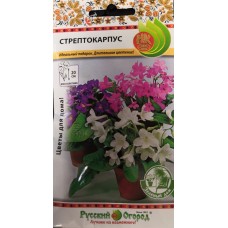 Цветы Стрептокарпус смесь 