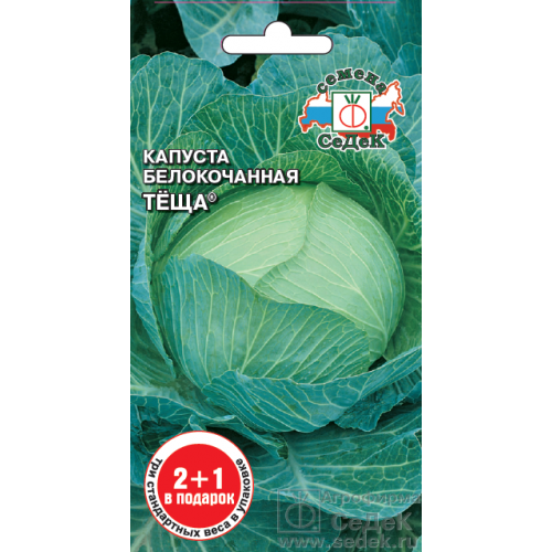 Сп капуста краснодар. Капуста теща СЕДЕК серия 2+1. Капуста к/б теща. Капуста белокочанная свекровь. Капуста сорта теща.