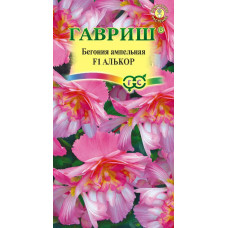 Цветы Бегония Алькор ампельная "Гавриш"