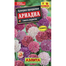 Цветы Армерия Ариадна смесь "Аэлита"